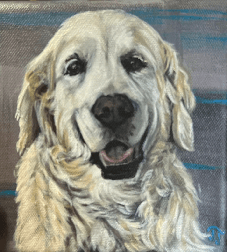 Portfolio showcase 8