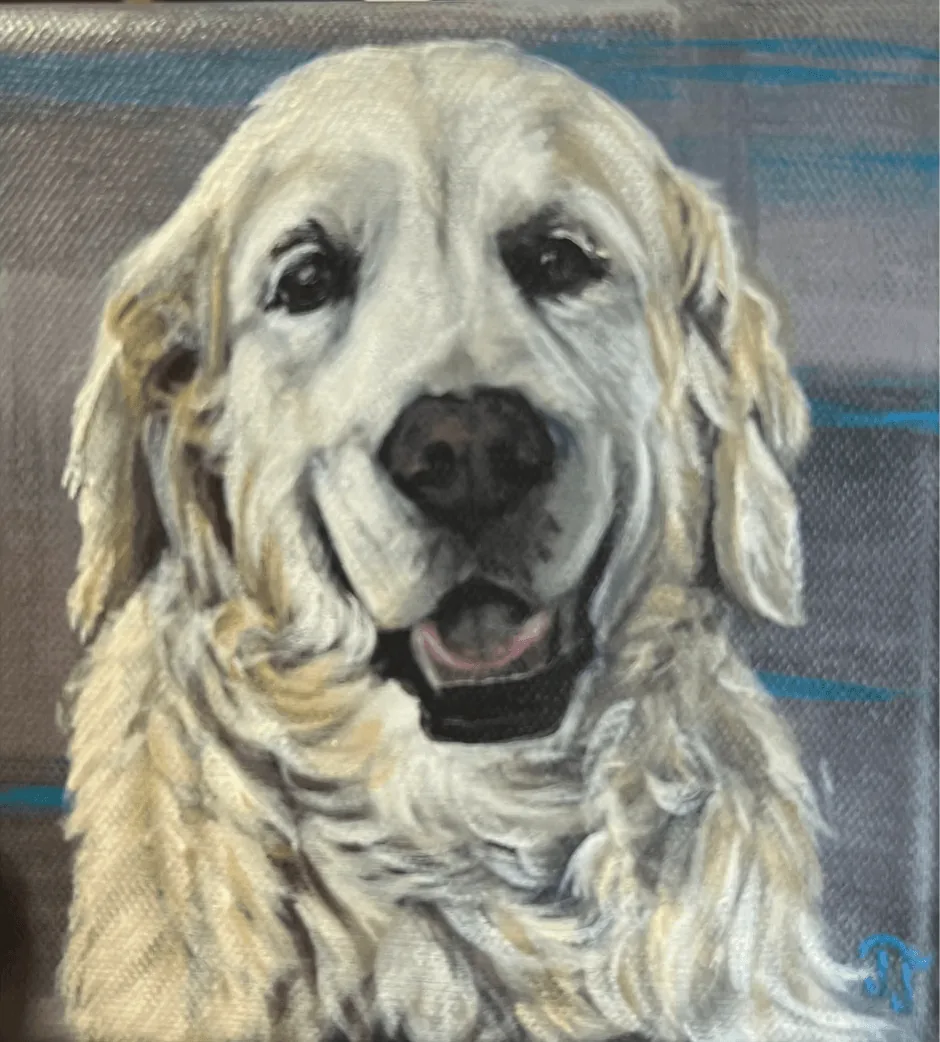 Portfolio showcase 19