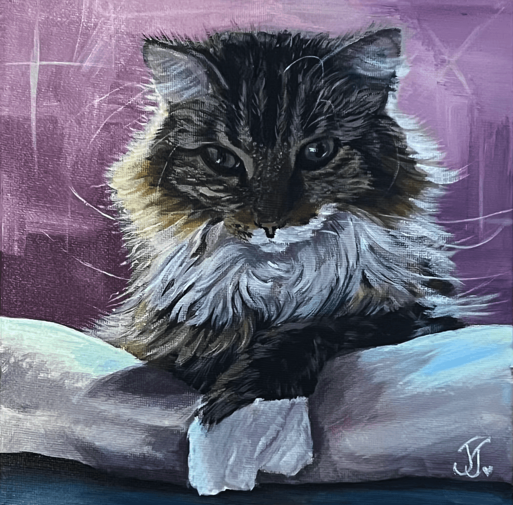 Pet portrait 9