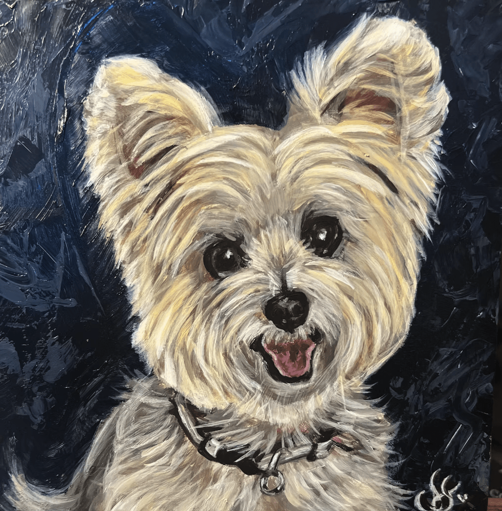 Portfolio showcase 10