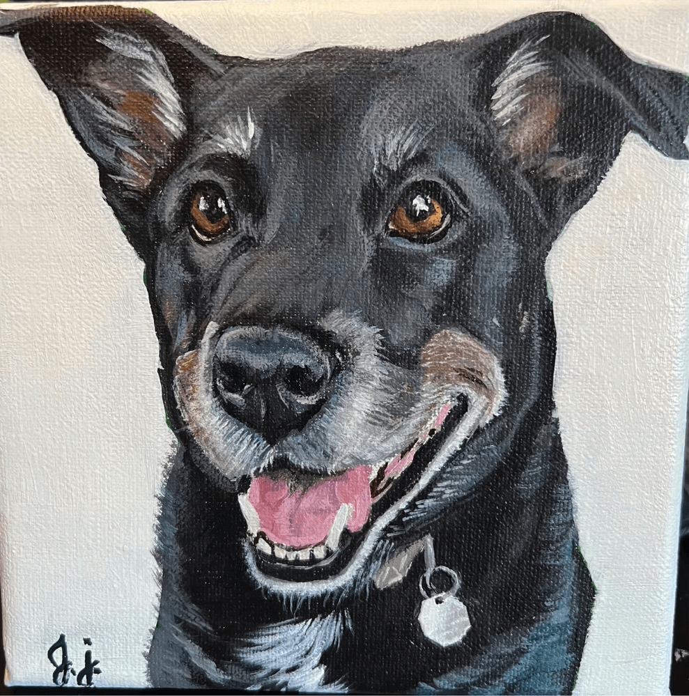 Portfolio showcase 5