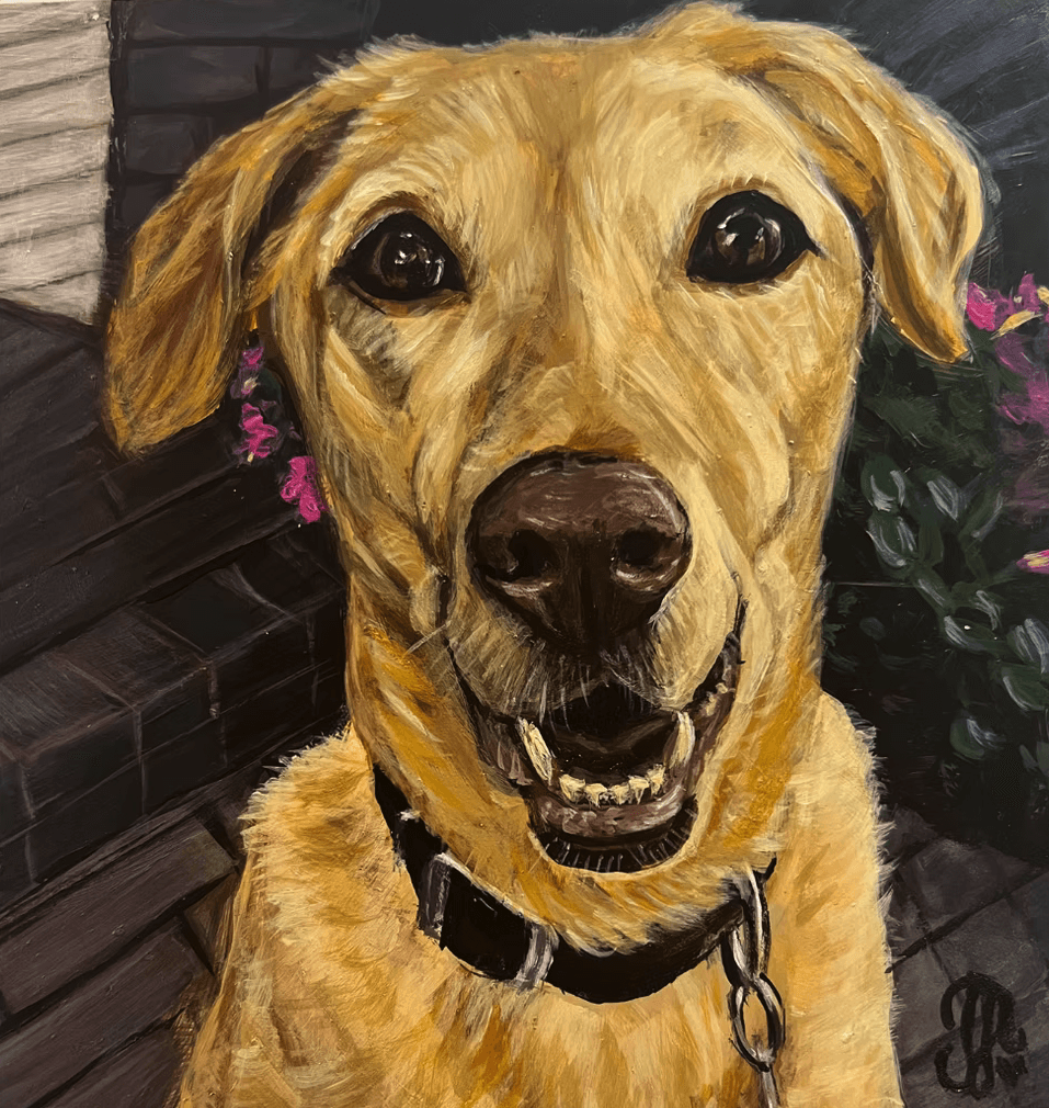 Pet portrait 19