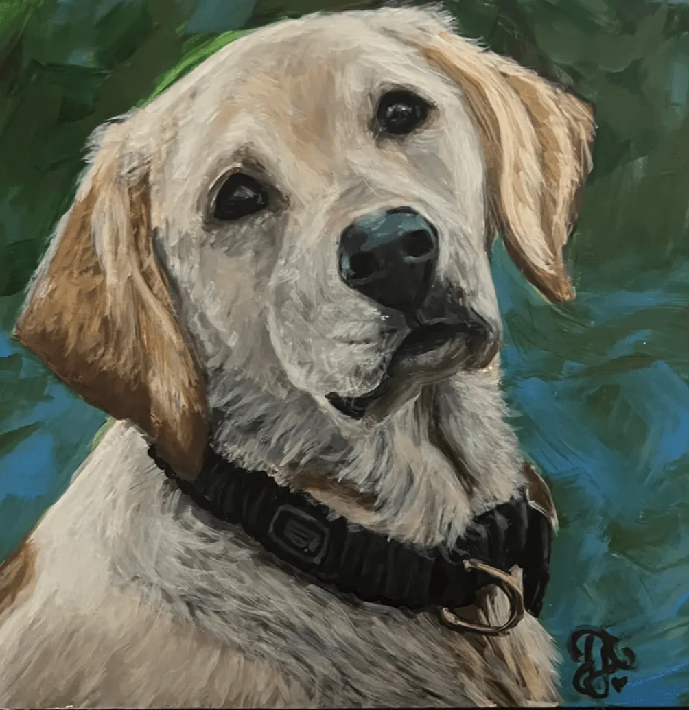 Portfolio showcase 12