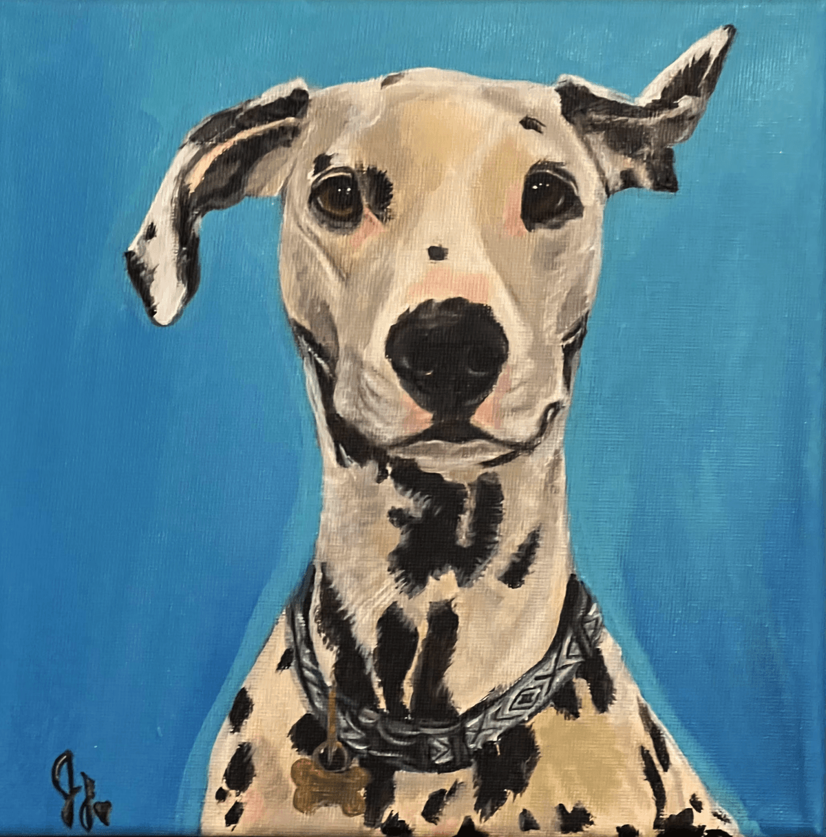 Pet portrait 27