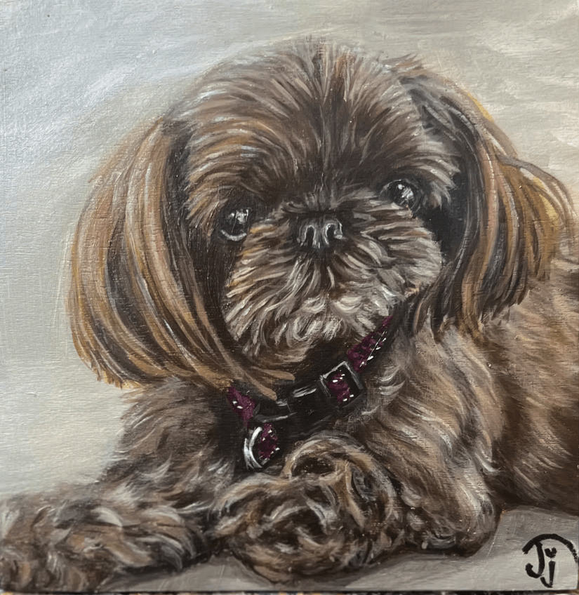 Portfolio showcase 3