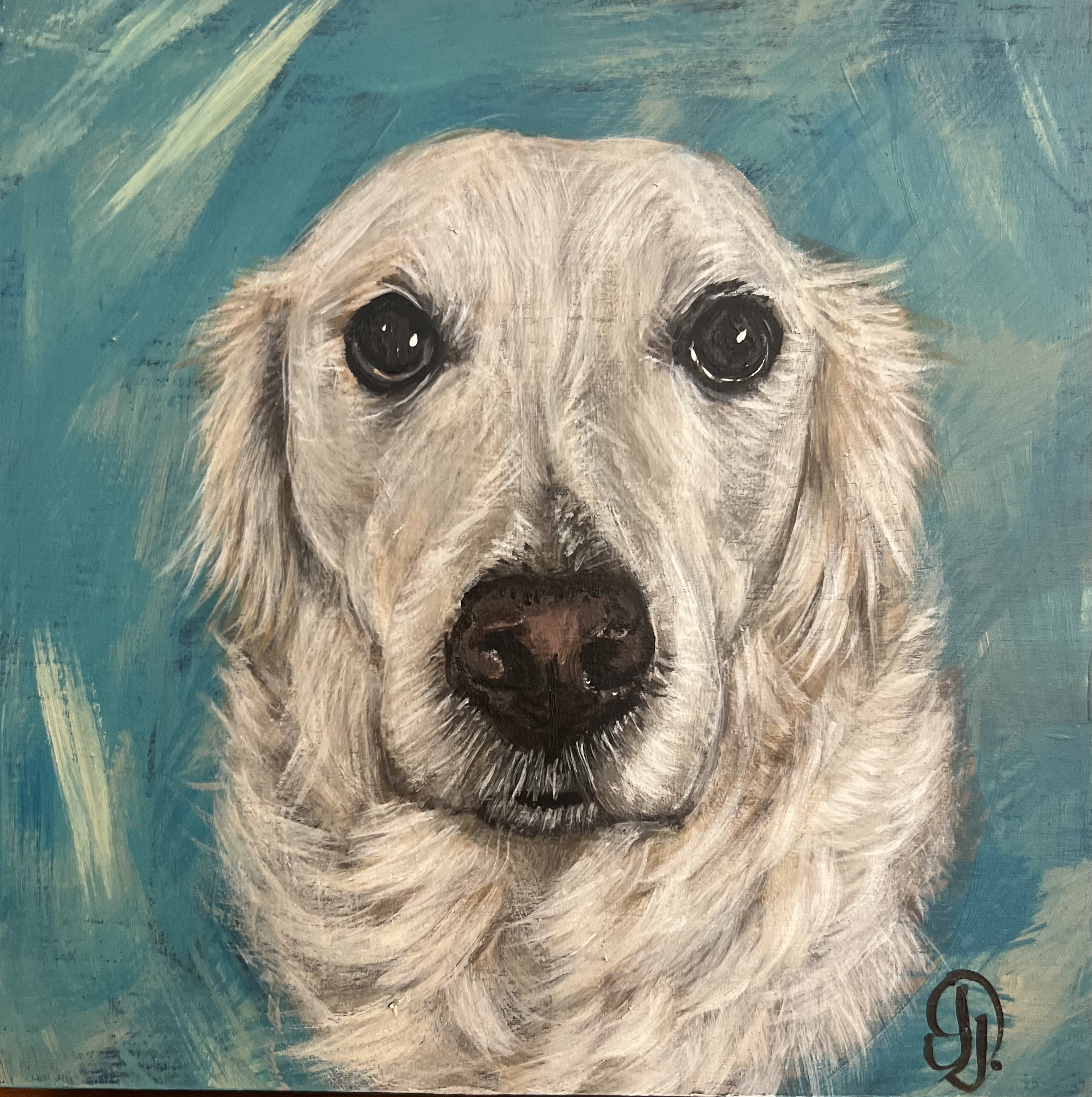 Pet portrait 33
